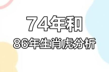 七四年属虎人的命运解析：财运、性格与人生路的全方位探讨