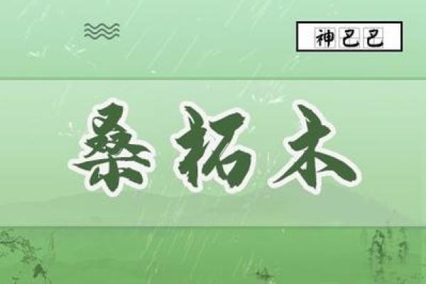 桑柘木命女性佩戴指南：如何通过饰品提升运势与魅力