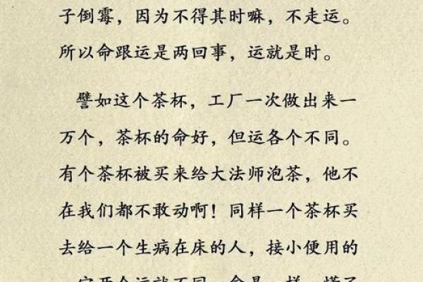 解析人间命运：各自的命与运之旅