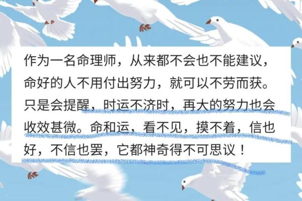 解析人间命运：各自的命与运之旅