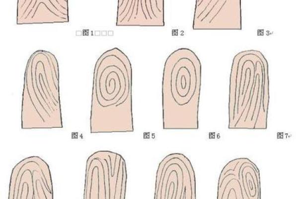 手有9个斗男的命理解析与人生启示 手有9个斗男的命理解析与人生启示