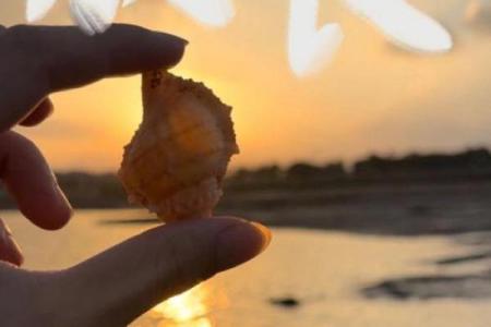 霹雳火命：探寻内心缺失的力量与成长之路