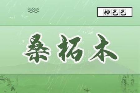 桑柘木命女性佩戴指南：如何通过饰品提升运势与魅力