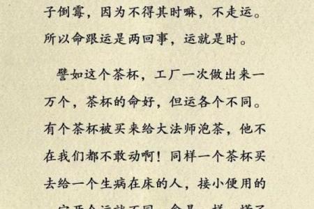 解析人间命运：各自的命与运之旅