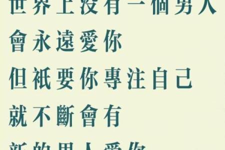 《拼了命爱自己：自我爱的力量与启示》