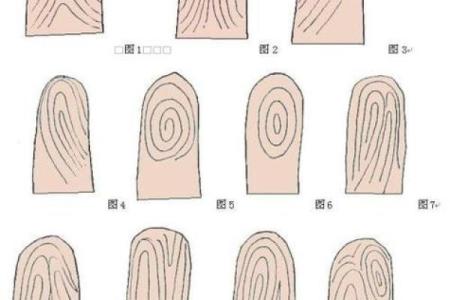 手有9个斗男的命理解析与人生启示