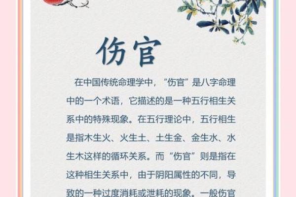 揭秘坤命与棍命：命理中的两种不同命格解析