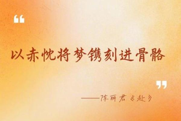 拿命博未来：追梦之路的勇气与坚持