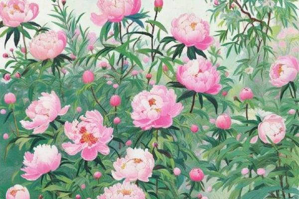 属鸡的马烈如中日命运揭秘:如何在生活中趋吉避凶? 属鸡的马烈如中日命运揭秘:如何在生活中趋吉避凶?