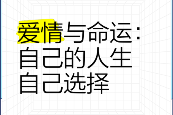 命运与自我选择：在《这辈子什么命》中找寻人生的意义