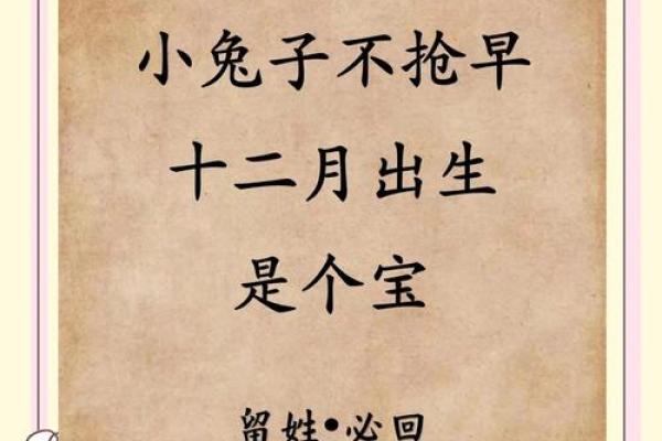 属兔命五行解析：如何运用五行特性提升运势