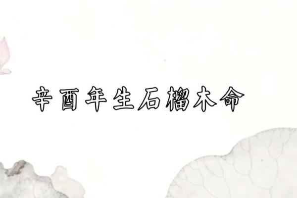 石榴木命与哪些命相克的深度分析与婚配建议 石榴木命与哪些命相克的深度分析与婚配建议