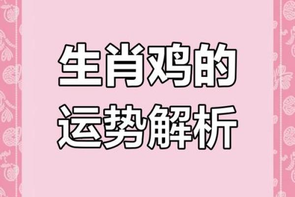 生肖鸡的命理解析：五行属性与人生运势的深度探索