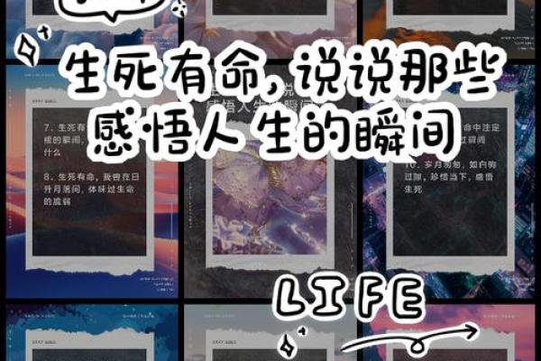 男命带男丁的深意与人生启示