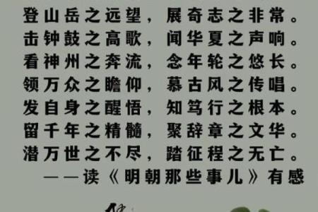 拼搏人生：探索五行命格的奥秘与智慧