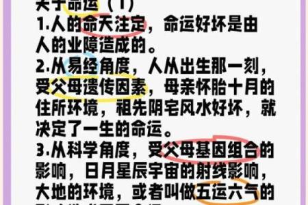 命里没有事业命？探讨命运与努力的关系