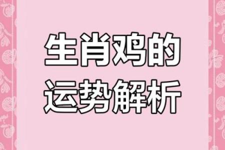 生肖鸡的命理解析：五行属性与人生运势的深度探索