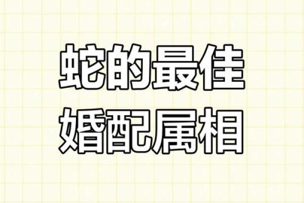 根据五行命理，找出最适合蛇命的婚姻伴侣！