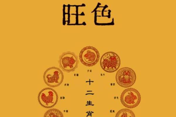 根据五行命理，找出最适合蛇命的婚姻伴侣！