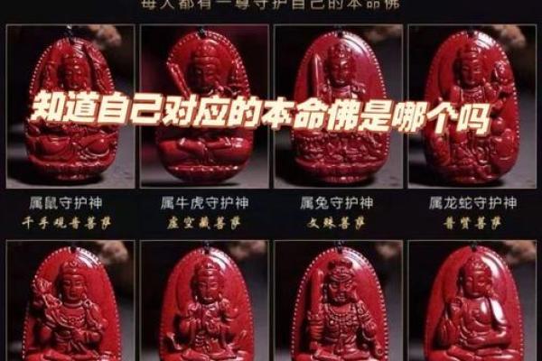 男命女命组合与生肖的神秘关系探秘 男命女命组合与生肖的神秘关系探秘