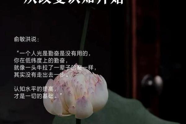 逆风翻盘:命运逆袭的启示与智慧 逆风翻盘:命运逆袭的启示与智慧