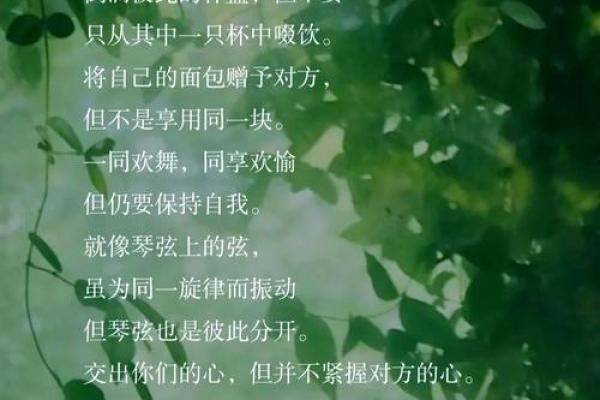 男人用生命爱你的表现,揭示爱情真谛与深意 男人用生命爱你的表现,揭示爱情真谛与深意