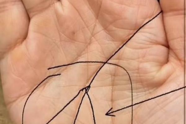 解密富贵命女的手相特征:你是潜在的财富拥有者吗? 解密富贵命女的手相特征:你是潜在的财富拥有者吗?