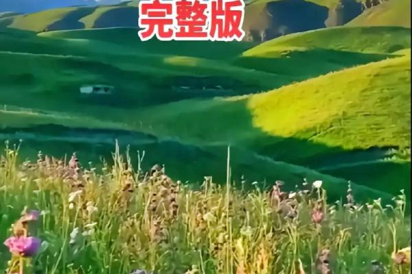 拼了命思念你:爱与执念的动人旋律 拼了命思念你:爱与执念的动人旋律