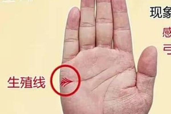 手纹解析:三条纹的人生命运与个性探秘 手纹解析:三条纹的人生命运与个性探秘