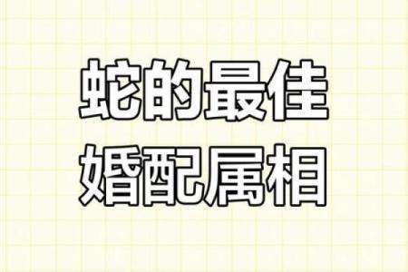 根据五行命理，找出最适合蛇命的婚姻伴侣！