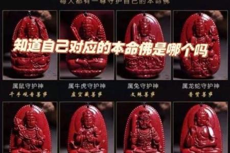 男命女命组合与生肖的神秘关系探秘