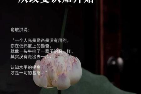 逆风翻盘：命运逆袭的启示与智慧