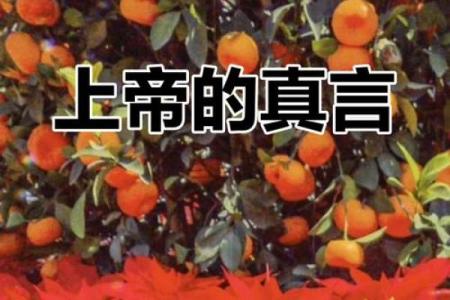 《信仰的指引：深入解读《申命记》的智慧与启示》