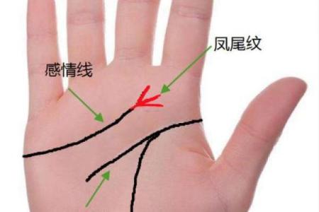 解密富贵命女的手相特征：你是潜在的财富拥有者吗？