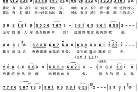 拼了命思念你：爱与执念的动人旋律