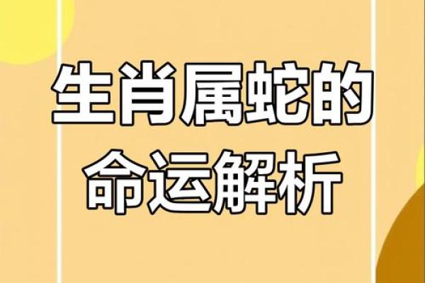 七七九月蛇男的命运揭秘：神秘与智慧的结合