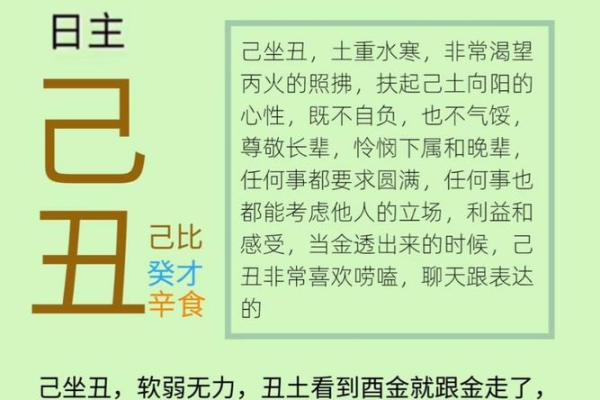 解读女命日柱日的深刻内涵与影响力之探讨