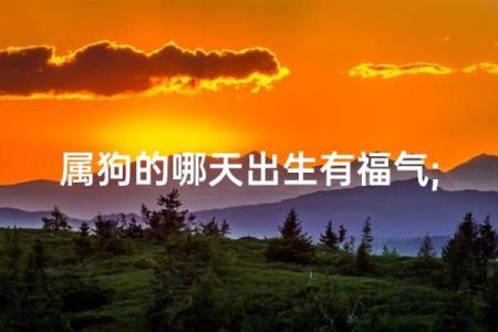 属狗男孩的命运解析：2006年出生的他该如何走出人生精彩之路？