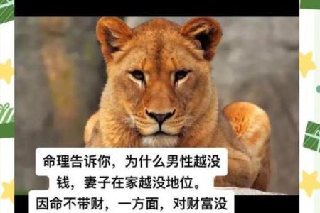 男命唯一财星的深意与现实启示