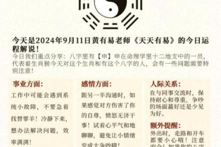 属猴者的农历十月命理解析：智慧与灵活的结合之道