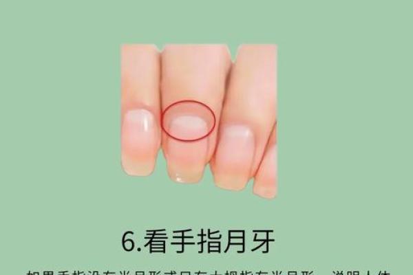 手指尖没肉是什么命?分析手指特征与命运的奥秘 手指尖没肉是什么命?分析手指特征与命运的奥秘