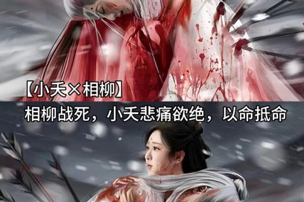 入命之时的命夭亡:探寻生命的脆弱与奇迹 入命之时的命夭亡:探寻生命的脆弱与奇迹