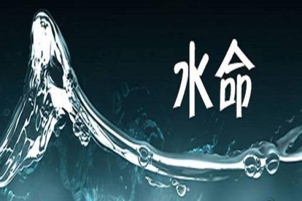 壬子水命解析:深入了解这一命格的生活哲学与个性特征 壬子水命解析:深入了解这一命格的生活哲学与个性特征