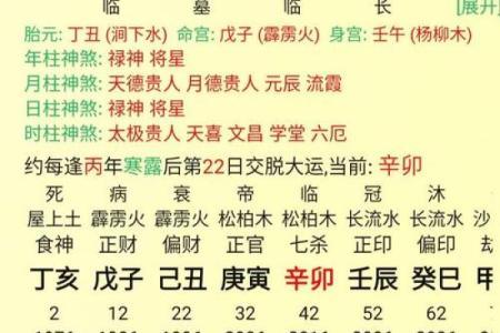 十月出生者的命运解析：揭示个性与未来