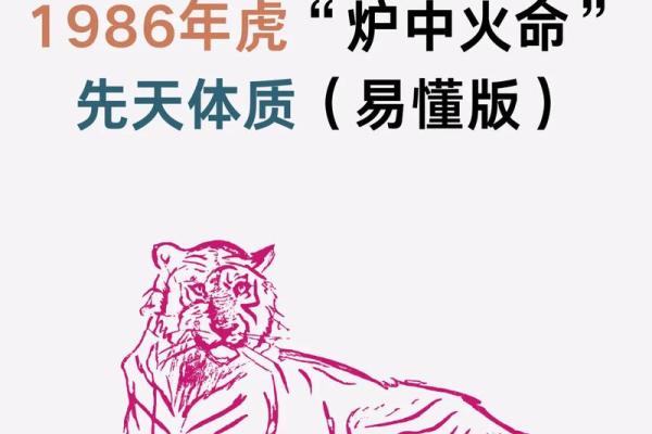 木命之人最宜与火命相伴,助力人生精彩旅程 木命之人最宜与火命相伴,助力人生精彩旅程