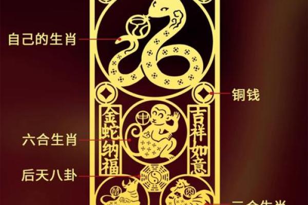 揭开纯阳命与三合局的神秘面纱，寻找命运的指引