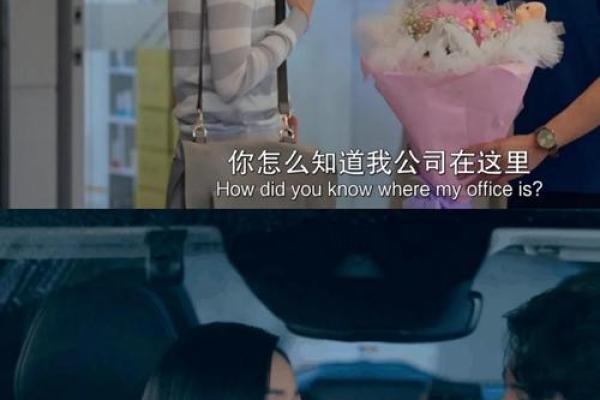 失去伴侣的命：爱与痛的无奈旅程