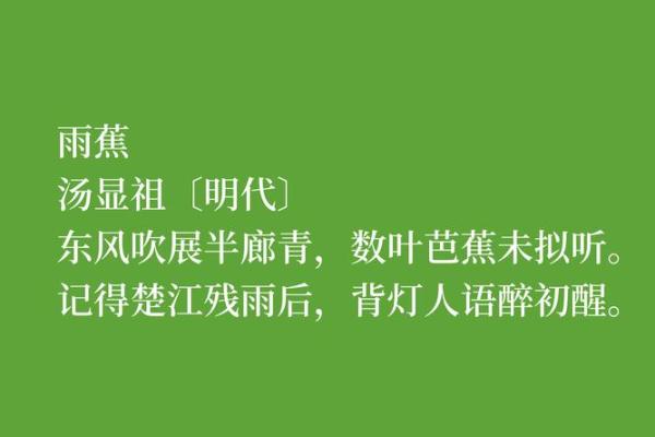 上上签兰花命解读:细品人生的芬芳与智慧 上上签兰花命解读:细品人生的芬芳与智慧