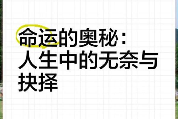 命运之苦：揭示最不幸命格的真相与启示