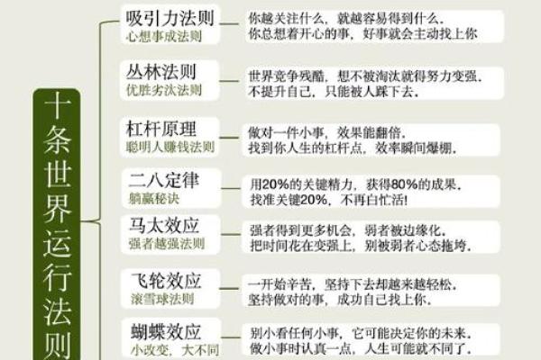 上午十点出生的人命运分析:智慧与机遇的结晶 上午十点出生的人命运分析:智慧与机遇的结晶
